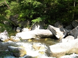 昇仙峡 松茸石
