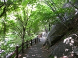 昇仙峡 遊歩道