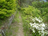 昇仙峡 弥三郎岳下山道
