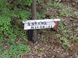 昇仙峡 羅漢寺山道標