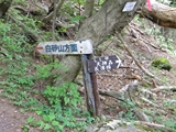 昇仙峡 羅漢寺山白砂山入口
