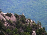 昇仙峡 ローソク岩