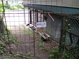 昇仙峡 羅漢寺山下山道終点