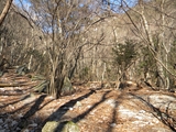 昇仙峡 旧羅漢寺跡地への登山口
