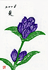 sugisaki