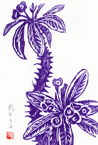 murase