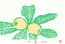 owatari