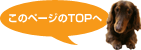 このページのTOPへ