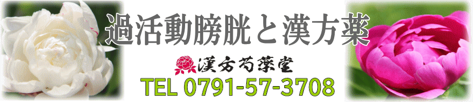 過活動膀胱と漢方薬【漢方芍薬堂】上郡町