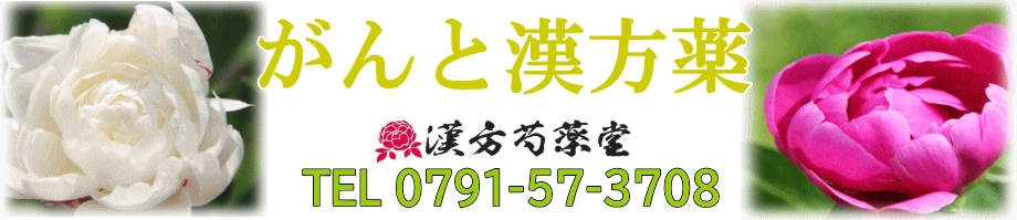 がんと向き合う漢方薬【漢方芍薬堂】上郡町