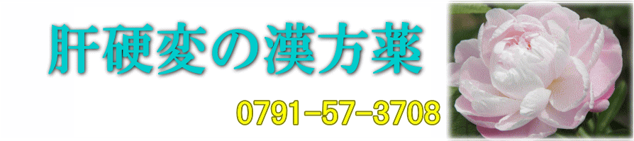 肝硬変と漢方薬【漢方芍薬堂】上郡町