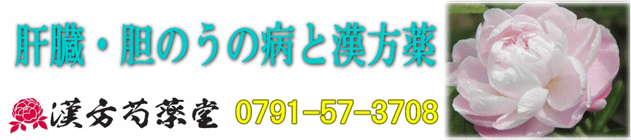 肝臓・胆のうの病と漢方薬【漢方芍薬堂】上郡町