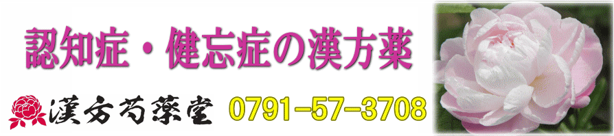 認知症・健忘症と漢方薬 【漢方芍薬堂】上郡町