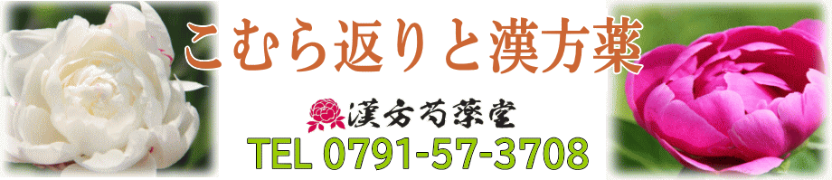 こむら返り（足つり）の漢方薬「芍薬甘草湯」【漢方芍薬堂】上郡町