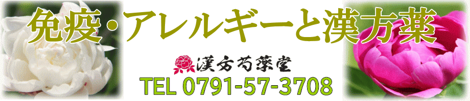 免疫・アレルギーと漢方薬【漢方芍薬堂】上郡町