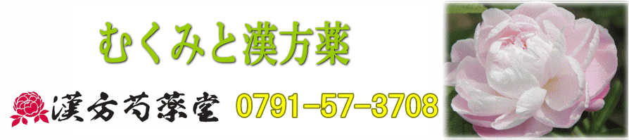 むくみと漢方薬【漢方芍薬堂】上郡町