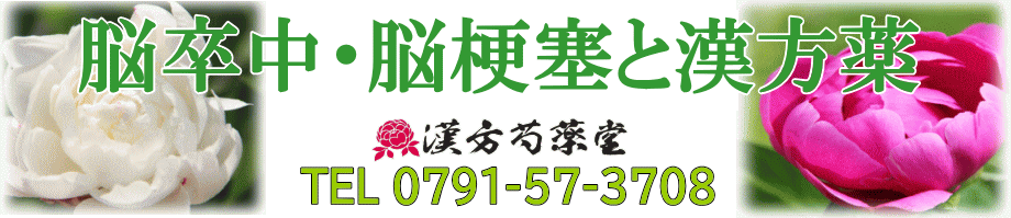 脳卒中(脳出血・脳梗塞・くも膜下出血)と漢方薬【漢方芍薬堂】