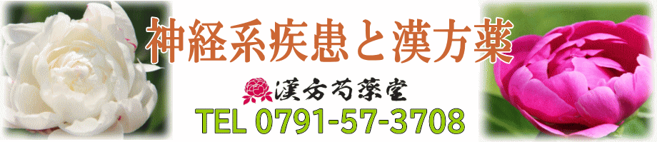 神経系と漢方薬（痛み・しびれ）【漢方芍薬堂】上郡町