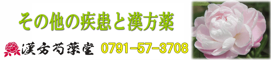 その他の疾患と漢方薬【漢方芍薬堂】上郡町