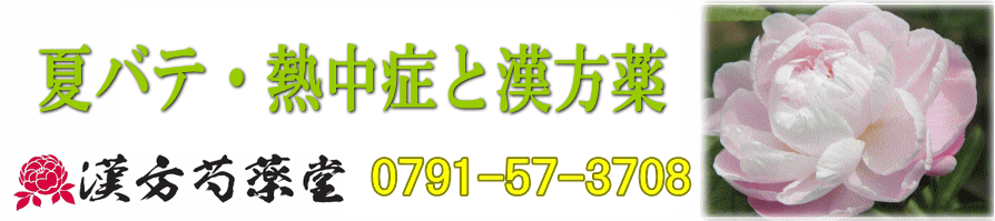 熱中症と漢方薬【漢方芍薬堂】上郡町