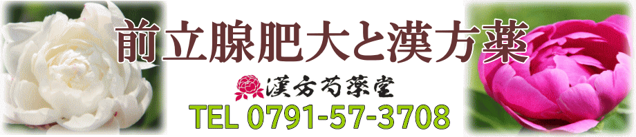 前立腺肥大と漢方薬【漢方芍薬堂】上郡町