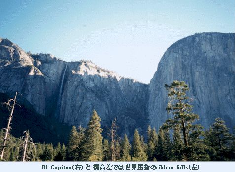 ribbon falls.jpg (37972 バイト)