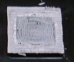 OLGA-plate.jpg (16219 oCg)