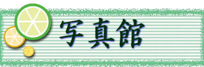 ʐ^