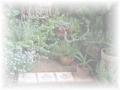 HOOTER'S�@SITE