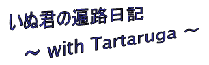 ~ いぬ君の遍路日記 with Tartaruga ~ ~ いぬ君の遍路日記 with Tartaruga ~