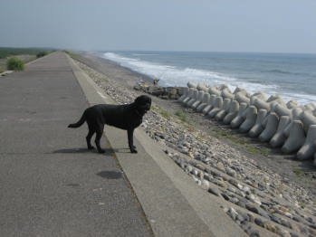 海と川遊び