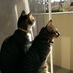 Oh, my Cats！