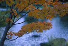 Hassel Planar 80mm 06(This can be used)