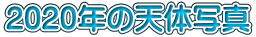 2020N̓V̎ʐ^