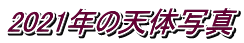 2021N̓V̎ʐ^
