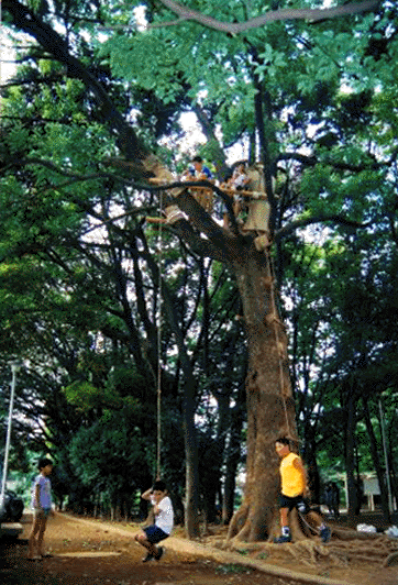 �o�ꂽ�q�������킦��C�����悳�A�^�[�U�����[�v���C��������