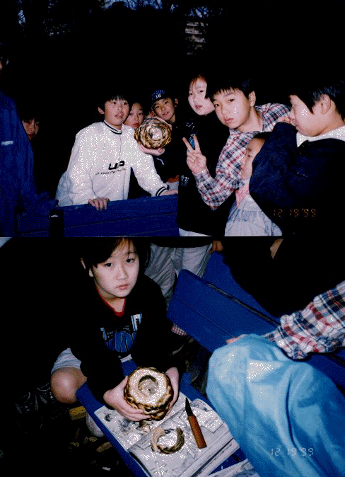 ���\�����o���E�E�E�o�[���N�[�w���I