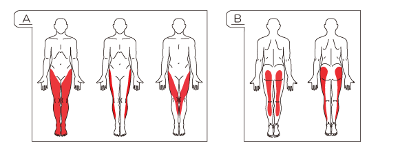 痛み にかけて の 腰 から おしり