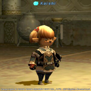 ��������SS