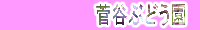 JԂǂ
