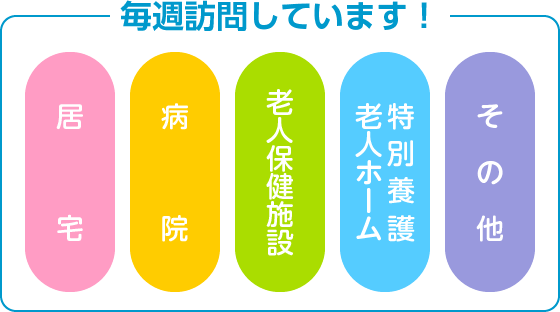 毎週訪問しています！