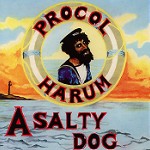 A SALTY DOG