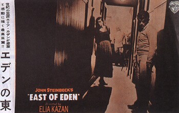 �G�f���̓�