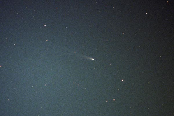池谷・張彗星の写真