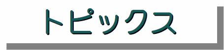 gsbNX