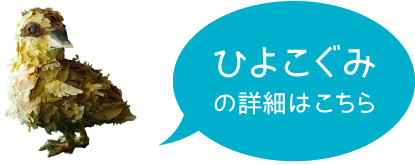 ひよこぐみ