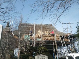 お寺のかやぶき屋根　葺き替え作業の様子
