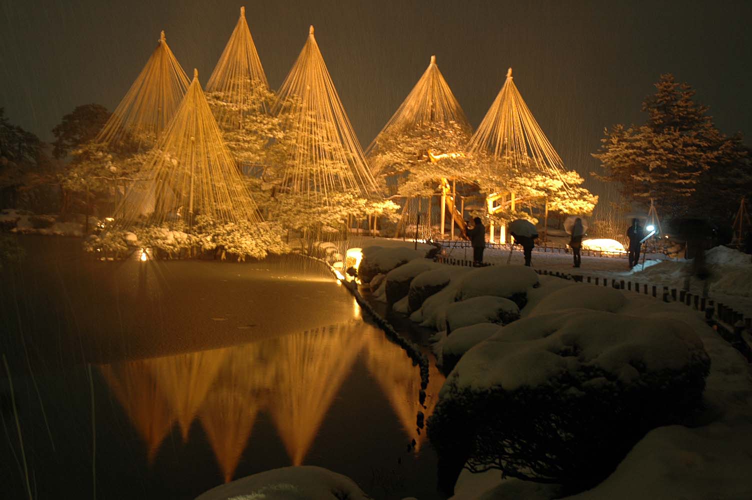 Illuminated Yuki-tsuri at Kenroku Garden