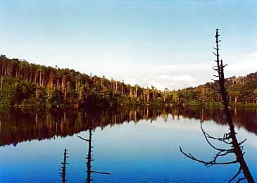 Silent Shirakoma Pond