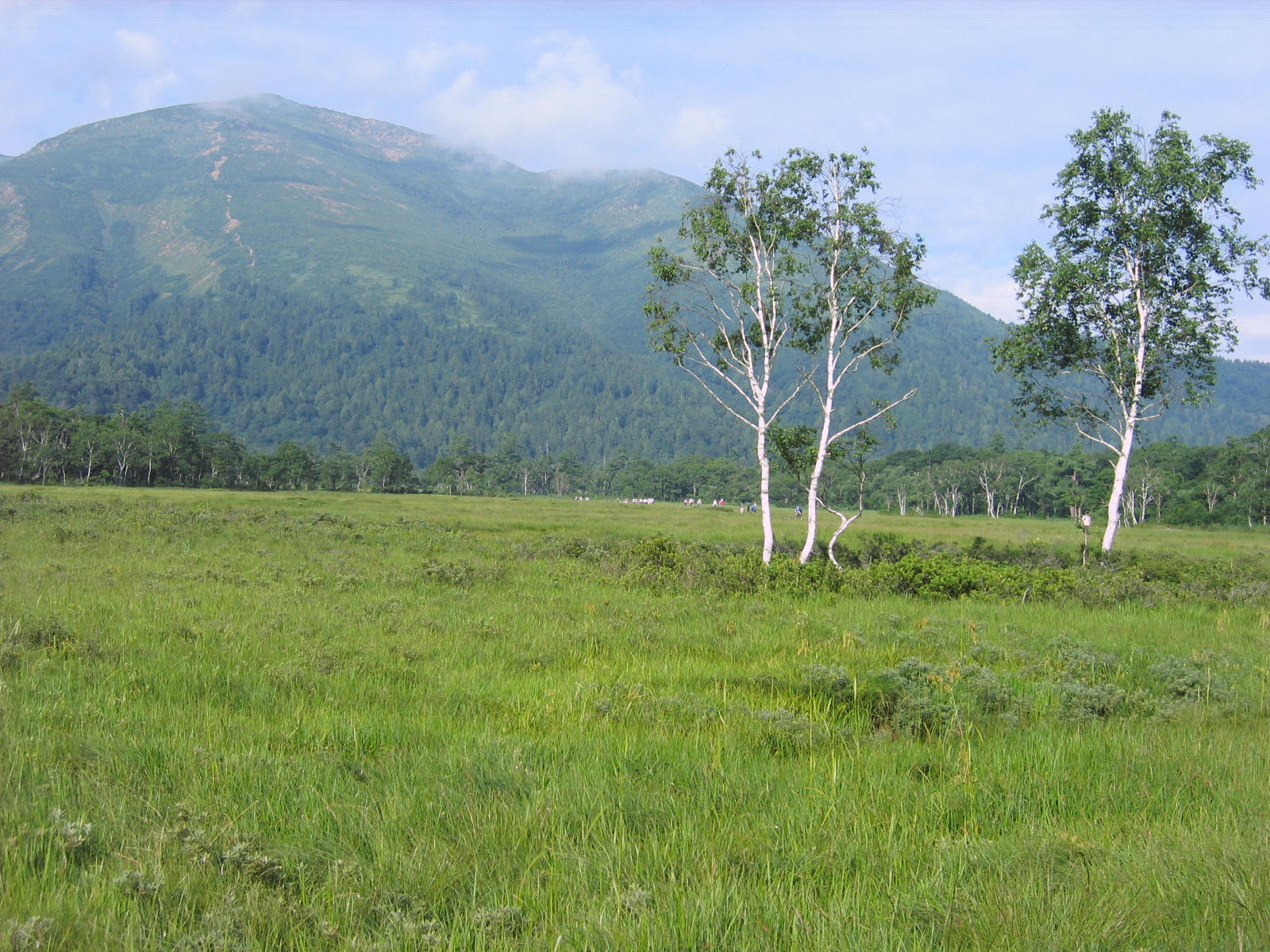 Mt. Shibutsu in Summer